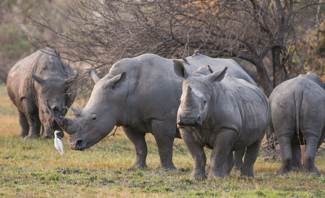 Okavango Delta Tours