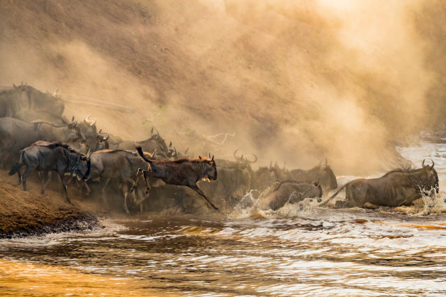 Masai Mara