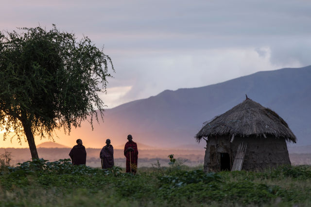 Kilimanjaro