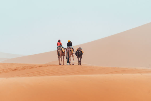 Sahara Desert