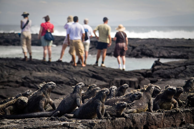 Galapagos Islands Holidays