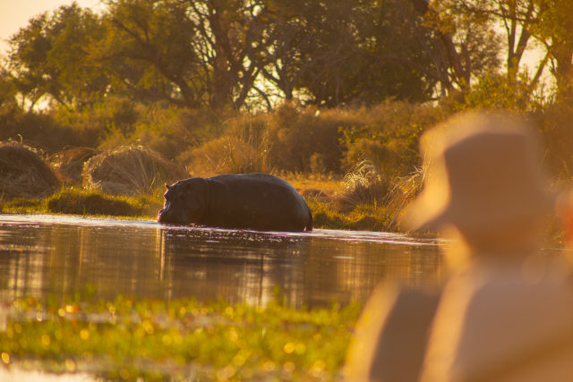 Okavango Delta Tours