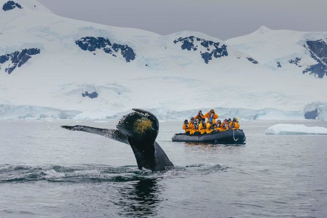 Spitsbergen