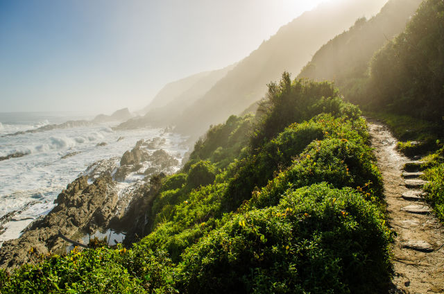 The Garden Route