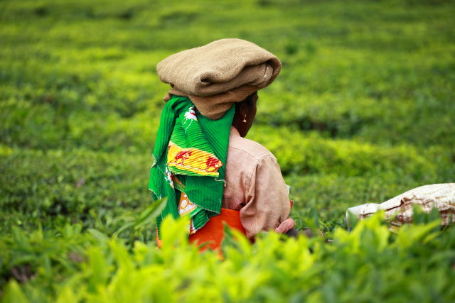 Kerala