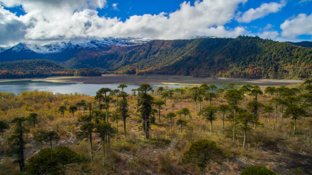 Andes Mountains