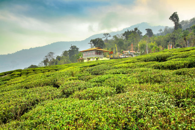 Sikkim