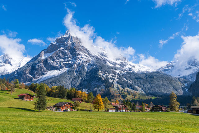 Swiss Alps