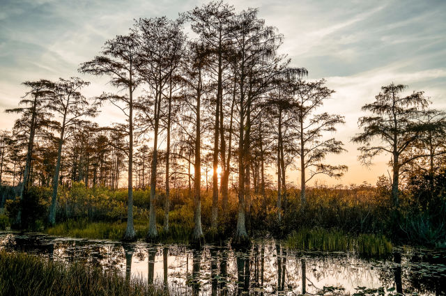 Deep South USA