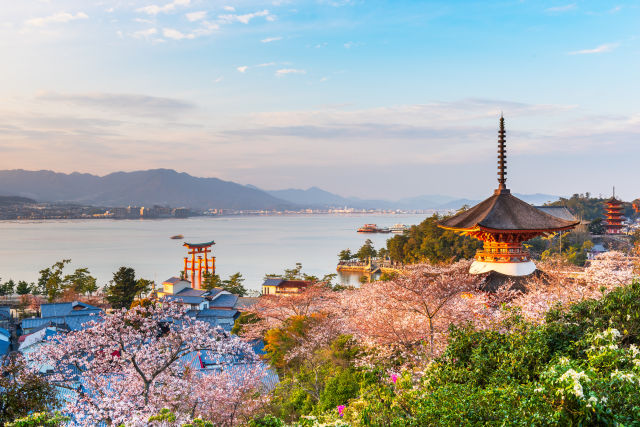 Escorted Tours