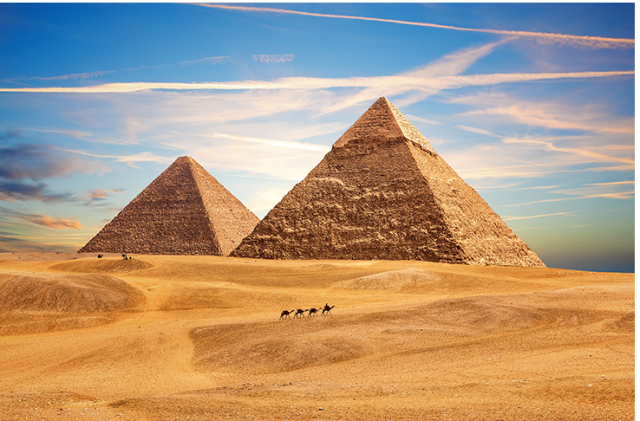 The Ultimate Travel Showdown