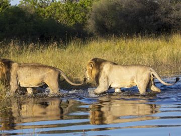 Botswana Safari Holidays