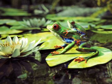 Family Holidays in Costa Rica