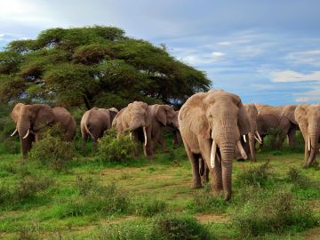 Kidepo Valley National Park