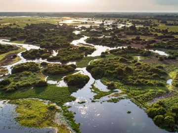 Pantanal