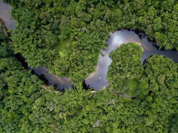 Pantanal Brazil