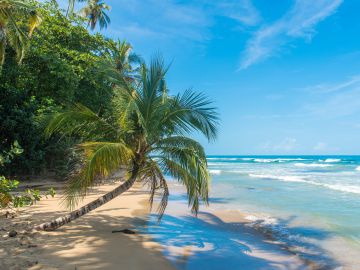 Tortuguero, Costa Rica