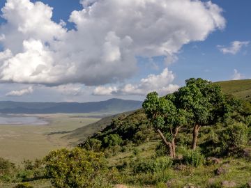 Ngorongoro Crater