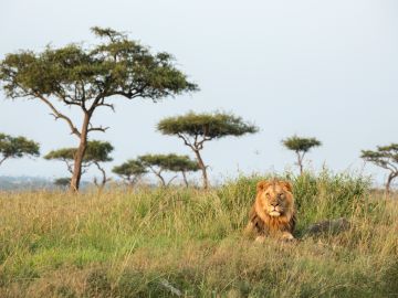 tanzania-serengeti