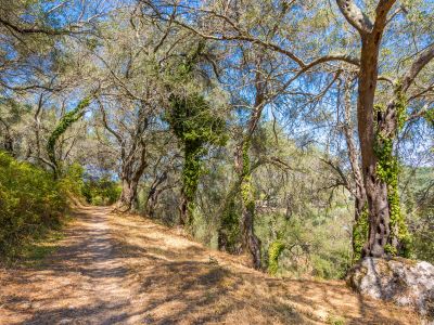 Cycling Holidays in Greece