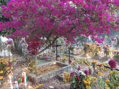 Culture Holidays in Mexico