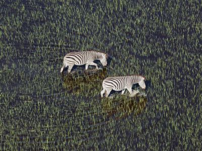 Okavango Delta