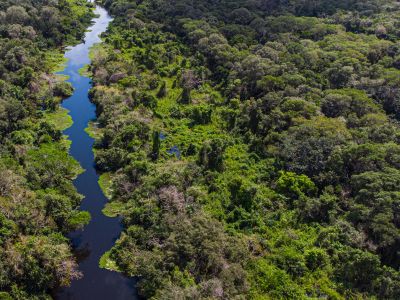 Pantanal Brazil