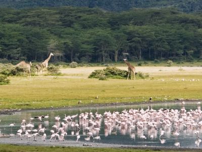 Rift Valley