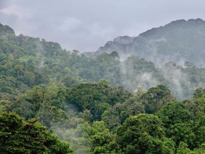 Rwanda Tours