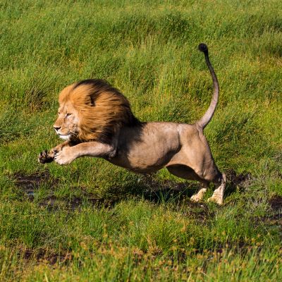 Best Things To Do in Tanzania