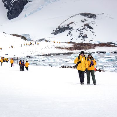 Antarctica tours