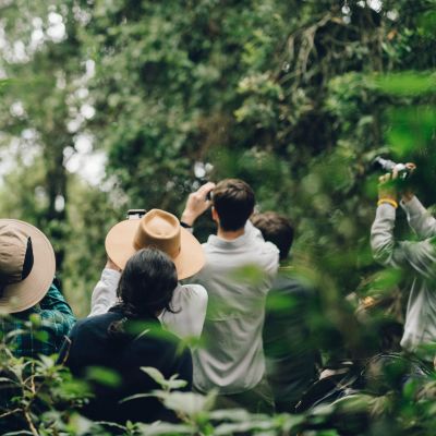 Bwindi Impenetrable National Park, Uganda