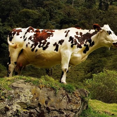 Best time to visit Colombia