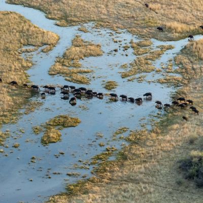 Aerial view of Okavango Delta in Botswana, Africafrica