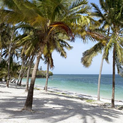 Beautiful beach with palms in Kenya, Africa