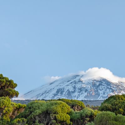 Mist surround the Kibo cone, at Millenium campsite, Kilimanjaro National Park, near Arusha, Tanzania, Africa