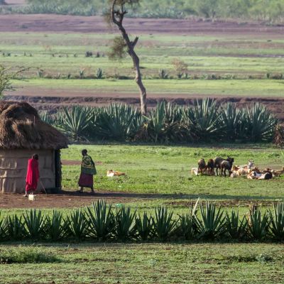 African hut in Tanzania