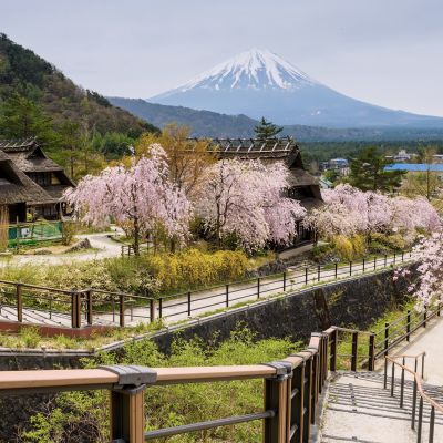 Thatched house at Saiko Iyashi no Sato Nenba, Moutain Fuji, Yamanashi, Japan