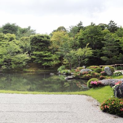 Japanese garden in kyoto japan