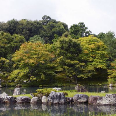 Japanese garden in early autumn, Kyoto, Japan