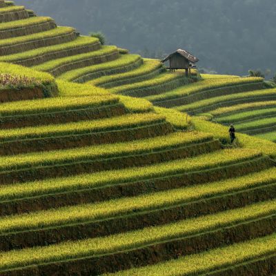 Vietnam rice terraces in Mu cang chai,Yenbai,Vietnam, Asia