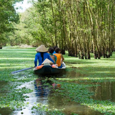 Tourism rowing boat in Tra Su flooded indigo plant forest in An Giang, Mekong delta, Vietnam, Asia