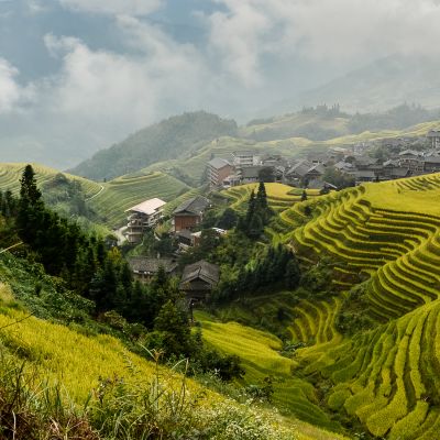 View of ripen rice terraces in Guilin, China, in harvest time. Clouds above rice terrace and mountains village on the right