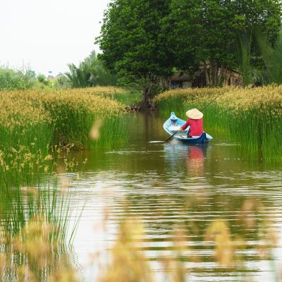 Mekong delta landscape with Vietnamese woman rowing boat on Nang - type of rush tree field, South Vietnam, Asia