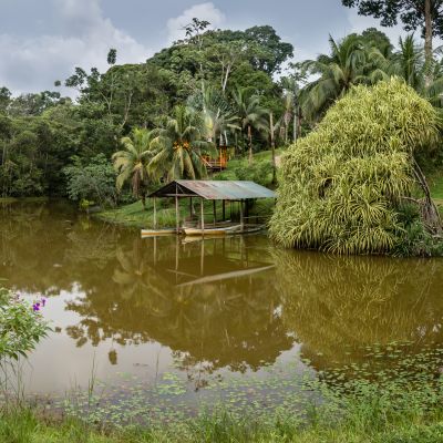 Panoramic view of the Laguna del Lagarto lodge in Boca Tapada Costa Rica with a jetty