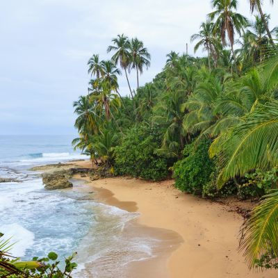 Wild caribbean beach of Manzanillo at Puerto Viejo, Costa Rica, Central America