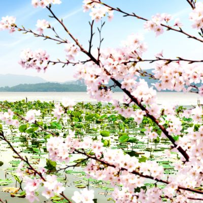 Enchanting Travels China Tours ancient pavilion on the west lake in hangzhou