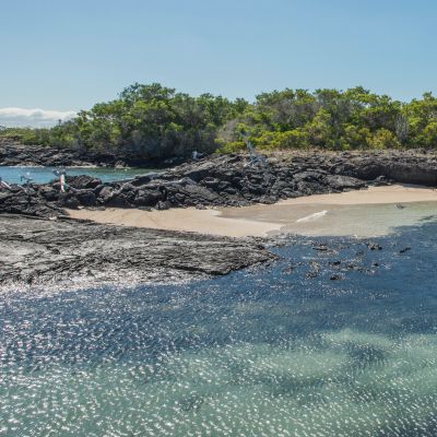A Landscape view of the small beach at Punta Moreno, Isabela Island, Galapagos, South America