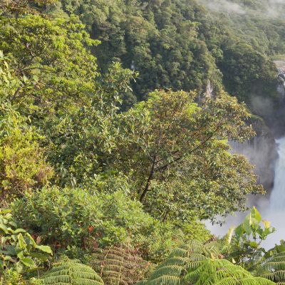 San Rafael Falls The Largest Waterfall In Ecuador, South America