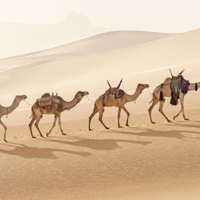 Enchanting Travels Egypt Vacations